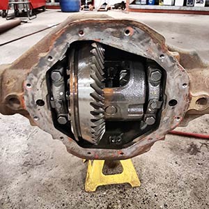 Differential and Transfer